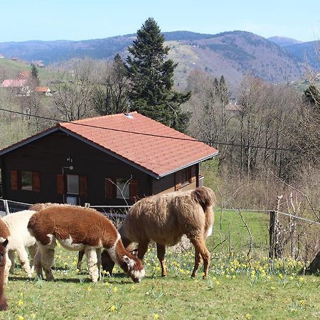 Chalet Les Bouleaux, La Montagne Des Lamas Ла-Бресс Екстер'єр фото