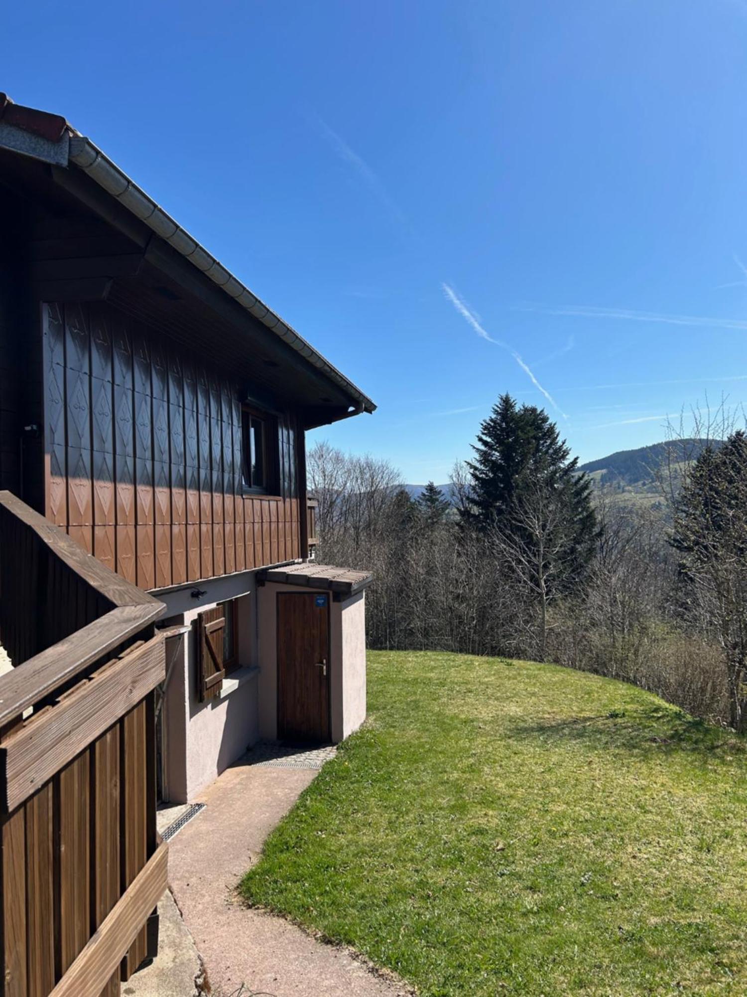 Chalet Les Bouleaux, La Montagne Des Lamas Ла-Бресс Екстер'єр фото