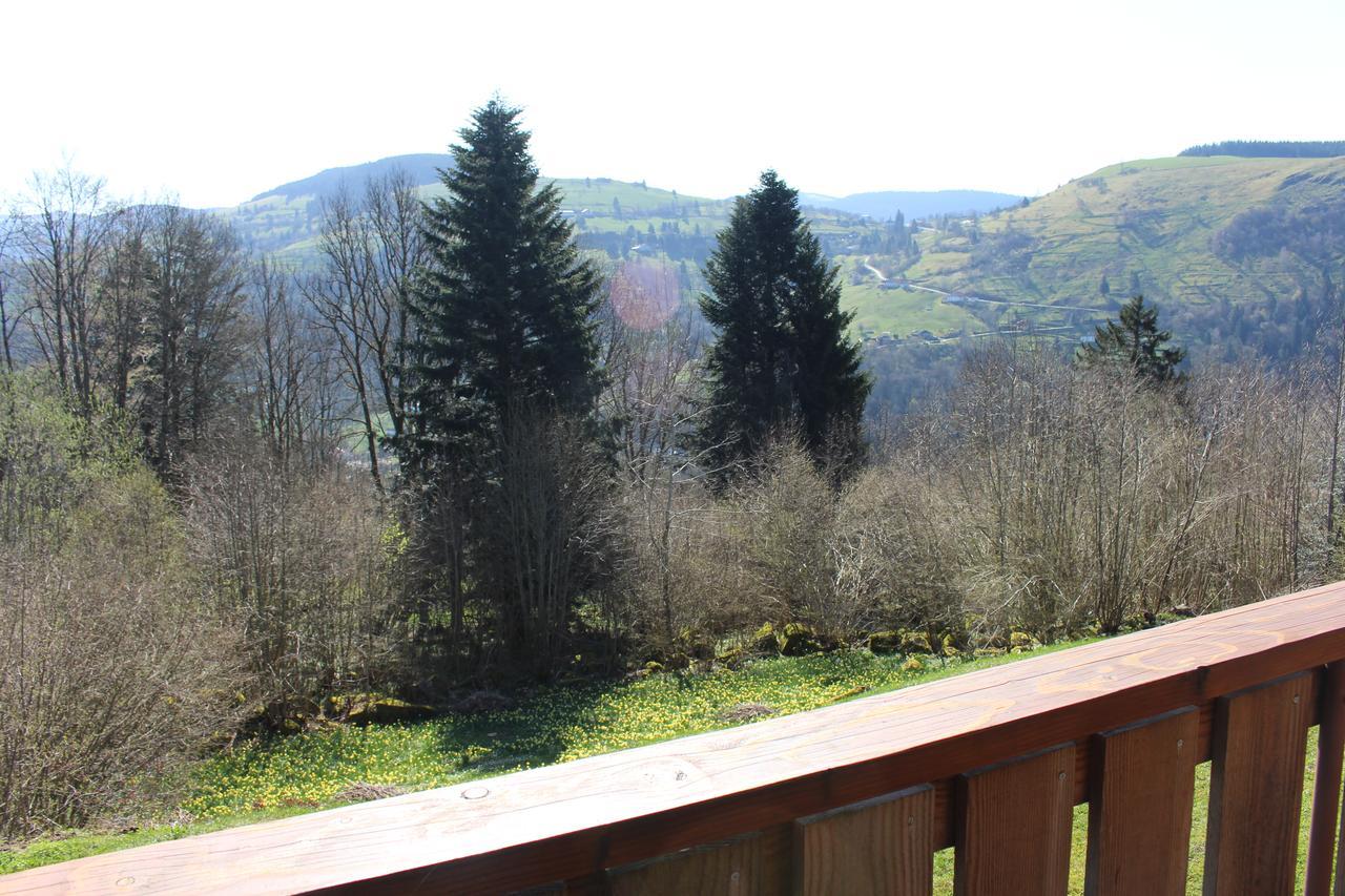 Chalet Les Bouleaux, La Montagne Des Lamas Ла-Бресс Екстер'єр фото