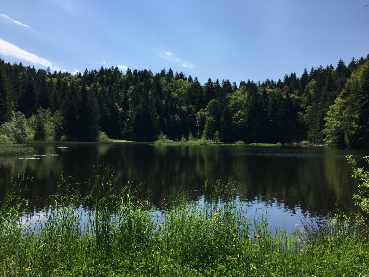 Chalet Les Bouleaux, La Montagne Des Lamas Ла-Бресс Екстер'єр фото